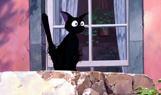 shockedcat 来自网络